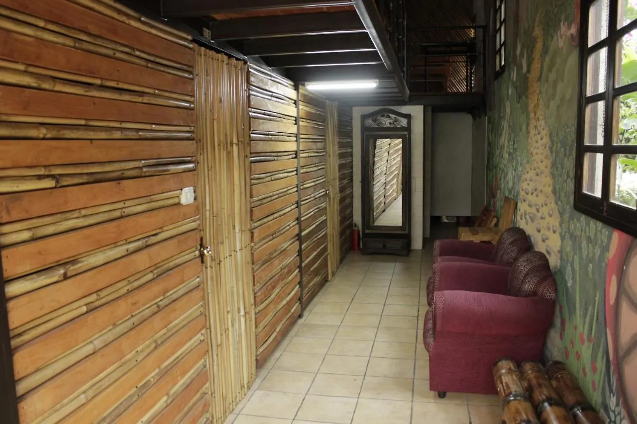 Hostal Casa Buho 안티구아 과테말라